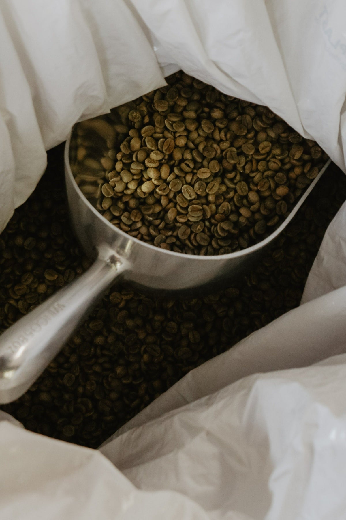 Green coffee beans from Legacy Farms, Honduras